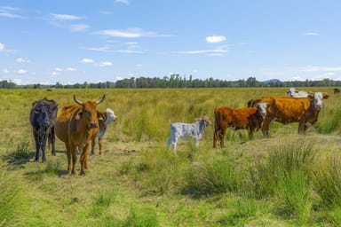 Property 232 Sutherlands Lane, Bellimbopinni NSW 2440 IMAGE 0