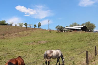 Property KNAPP CREEK QLD 4285 IMAGE 0