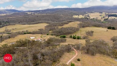 Property 203 Wolgal Road, CAPTAINS FLAT NSW 2623 IMAGE 0