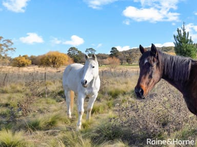 Property Part 3708 Sofala Road, WATTLE FLAT NSW 2795 IMAGE 0