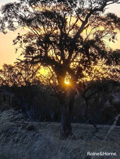 Property 156 Metcalfe-Redesdale Road, Metcalfe VIC 3448 IMAGE 0