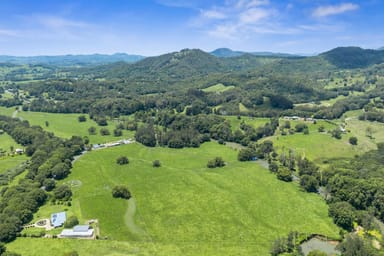 Property 981 Numinbah Road, Crystal Creek NSW 2484 IMAGE 0