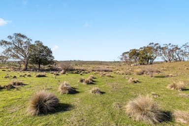 Property 1031 Cootralantra Road, Cooma NSW 2630 IMAGE 0