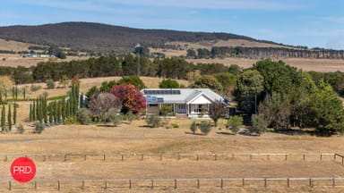 Property 137 Leahys Lane, Lake Bathurst NSW 2580 IMAGE 0