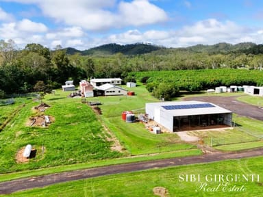 Property 1004 Bilwon Road, Biboohra QLD 4880 IMAGE 0