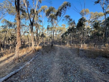 Property 13 Moliagul Drive, Moliagul VIC 3472 IMAGE 0