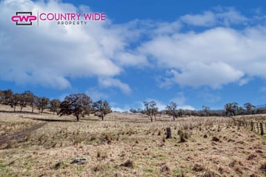 Property 1929 New England Highway, DUNDEE NSW 2370 IMAGE 0