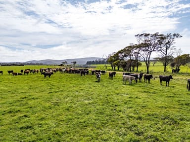 Property Lot 2 Westwoods Road, Rowella TAS 7270 IMAGE 0