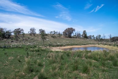 Property BODANGORA NSW 2820 IMAGE 0
