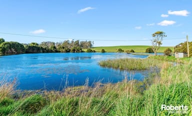 Property 449 Chapel Road, Sassafras TAS 7307 IMAGE 0
