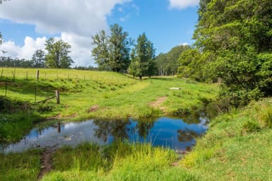 Property 876 SMITHS CREEK ROAD, KUNDABUNG NSW 2441 IMAGE 0