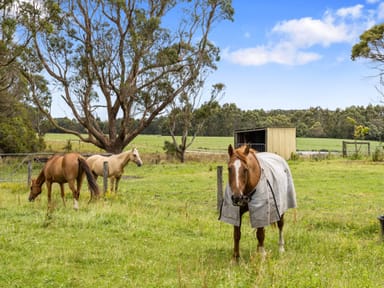 Property 885 Woorarra Rd, WOORARRA EAST VIC 3962 IMAGE 0