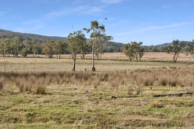 Property Lot 2, Rosedale Road, BICHENO TAS 7215 IMAGE 0