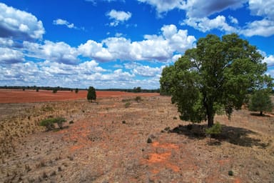 Property 'Arakoola' 146 Bolams Road, TULLAMORE NSW 2874 IMAGE 0