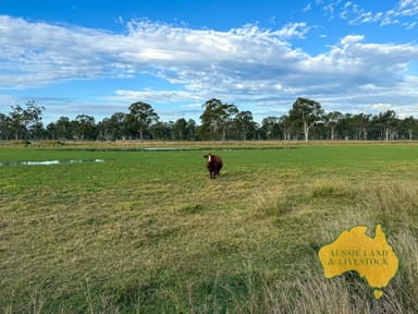 Property 8 SCREENING PLANT ROAD, CYNTHIA QLD 4627 IMAGE 0