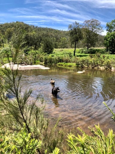 Property 1272 Rocky River Road, Tenterfield NSW 2372 IMAGE 0