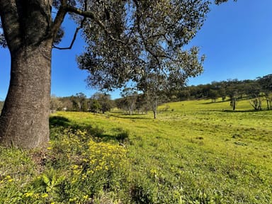 Property Part Of 3066 Great North Road, Wollombi NSW 2325 IMAGE 0