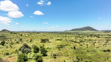 Property "Green Yards" Scotts Road, Theodore QLD 4719 IMAGE 0