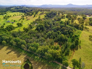 Property 795 Minimbah Road, MINIMBAH NSW 2312 IMAGE 0