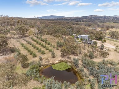 Property 1271 Axe Creek Road, SEDGWICK VIC 3551 IMAGE 0