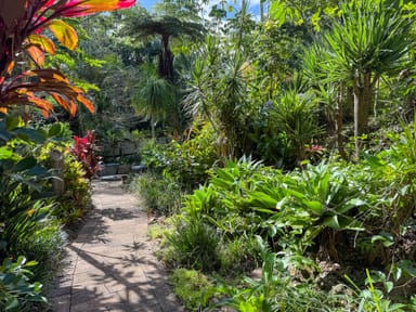 Property 14 Forsythia Drive, TAMBORINE MOUNTAIN QLD 4272 IMAGE 0