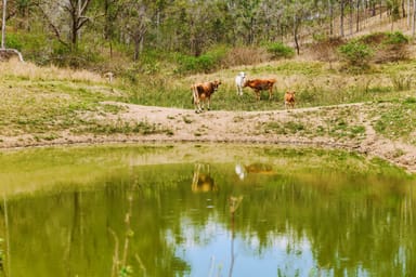 Property 1250 Mount Hector Road, BOYNE VALLEY QLD 4680 IMAGE 0