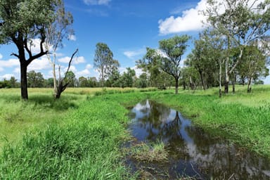 Property 'Sheildoo' 11526 Dawson Highway, DAKENBA QLD 4715 IMAGE 0