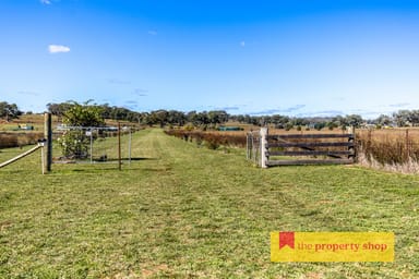 Property 93 Williams Road, Gulgong NSW 2852 IMAGE 0