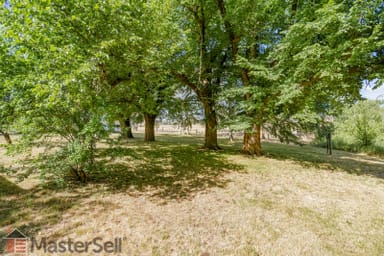 Property 1236 Grahamstown Road, Mount Horeb NSW 2650 IMAGE 0