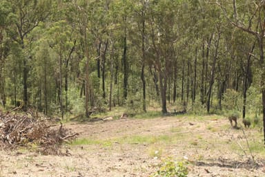 Property 83, 395 Bruxner Road, Drake NSW 2469 IMAGE 0