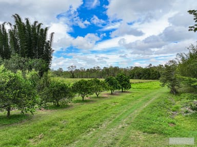 Property 58 Jealous Road, BYFIELD QLD 4703 IMAGE 0