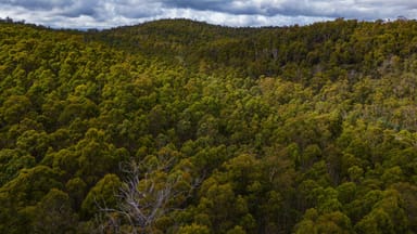 Property 1, 1166 Prossers Road, Underwood TAS 7268 IMAGE 0