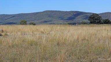 Property 260 Dilladerry Road, Tomingley NSW 2869 IMAGE 0