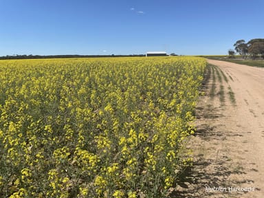 Property . Stent Road, PINGARING WA 6357 IMAGE 0