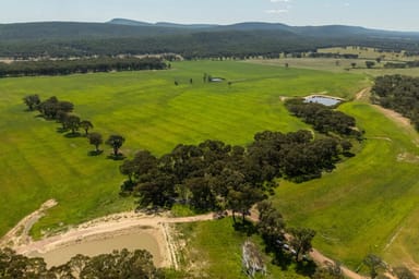 Property 966 Peak Hill Road, Baldry NSW 2867 IMAGE 0