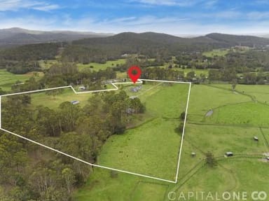 Property 878 Jilliby Road, Dooralong NSW 2259 IMAGE 0