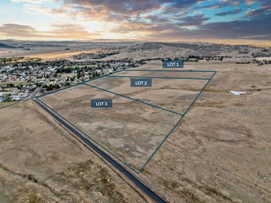 Property Lot 1, 2, & 3, (9 / 13 / 17) Boundary Street, Berridale NSW 2628 IMAGE 0