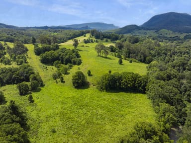 Property 31 Blade Road, NIMBIN NSW 2480 IMAGE 0