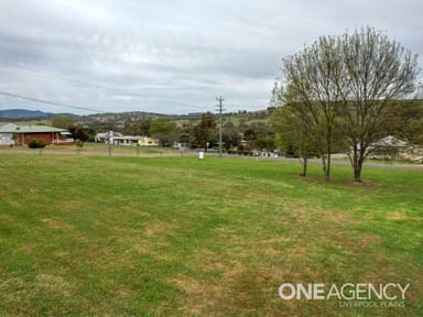 Property 44 Learmonth Street, WILLOW TREE NSW 2339 IMAGE 0