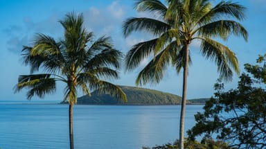 Property SHOAL POINT QLD 4750 IMAGE 0