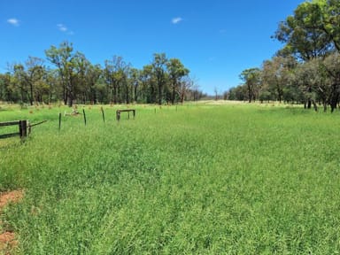 Property 6743 Dunrobin Road, Jericho QLD 4728 IMAGE 0