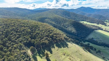 Property . Firebrace Track, BULLIOH VIC 3700 IMAGE 0