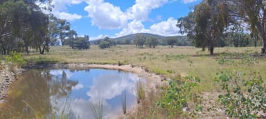 Property Lot 52, 2202 Wellington Vale Road, Emmaville NSW 2371 IMAGE 0