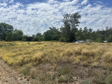 Property 74-76 Barwon Street, Mungindi QLD 2406 IMAGE 0