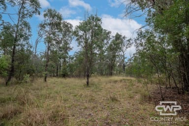 Property 56, Torrington Road, TORRINGTON NSW 2371 IMAGE 0