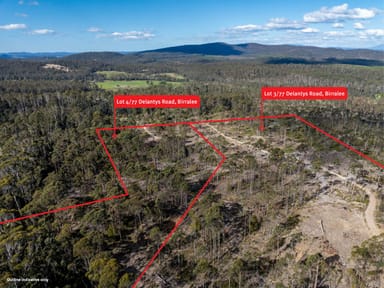 Property 3 & 4 Delantys Road, Birralee TAS 7303 IMAGE 0