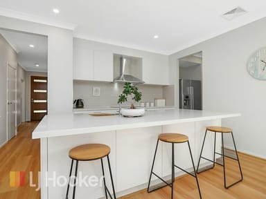 Property 20 Western Road, Medowie NSW 2318 IMAGE 0