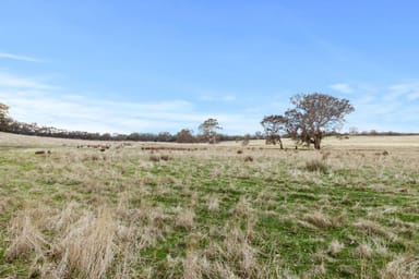 Property 2505 Seymour-Tooborac Road, Tooborac VIC 3522 IMAGE 0