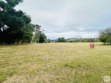 Property Lot 1,2 & 3 Pine Lane, Tumbarumba NSW 2653 IMAGE 0