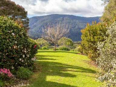 Property 116 Hawks Head Road, Brogo NSW 2550 IMAGE 0